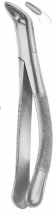  CRYER Fig. 151 lower incisors, premolars, roots 